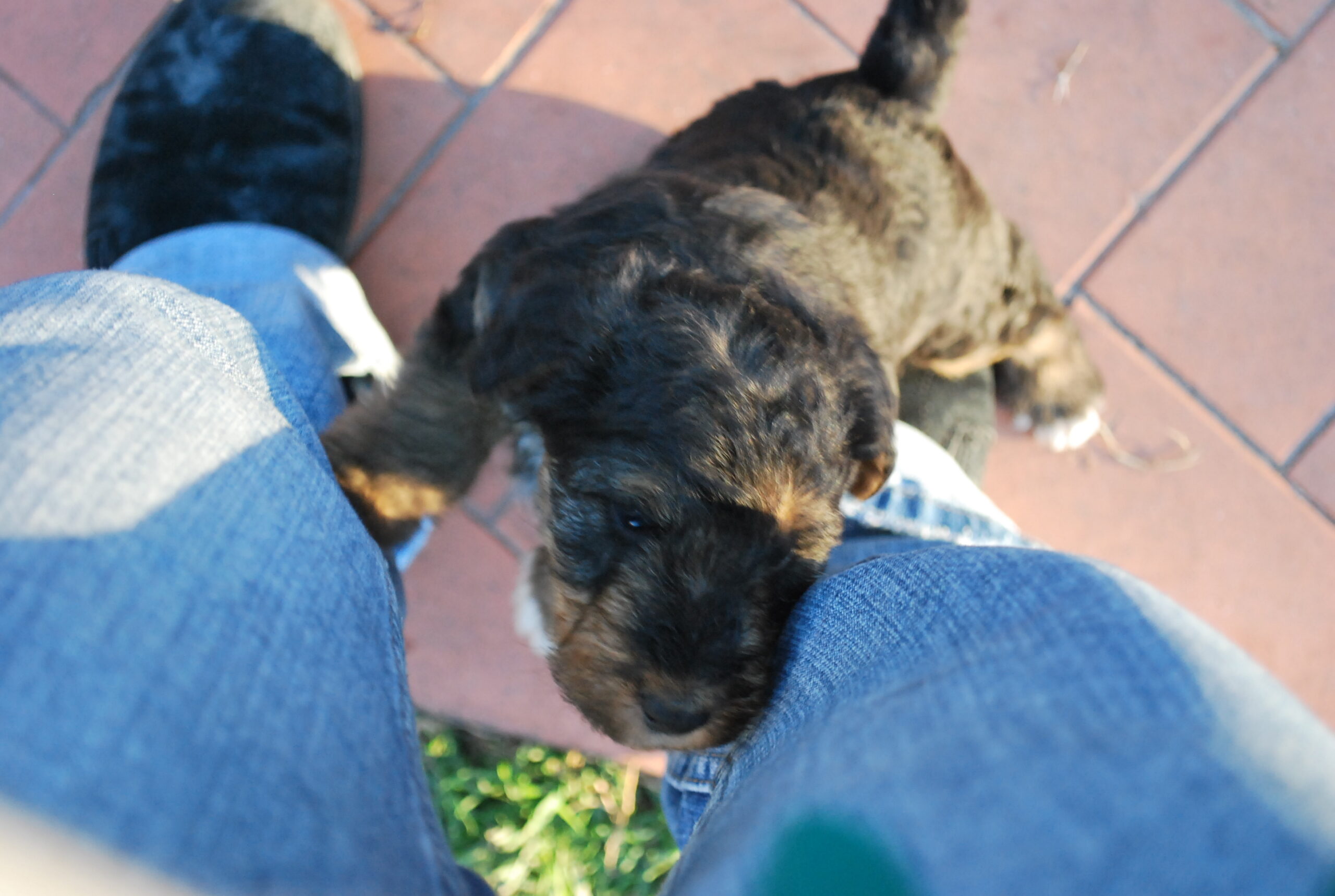 “The dog preferred to smell something else rather than me — clearly, she didn’t like me.”