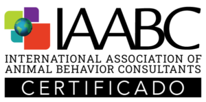 IAABC CDBC certification